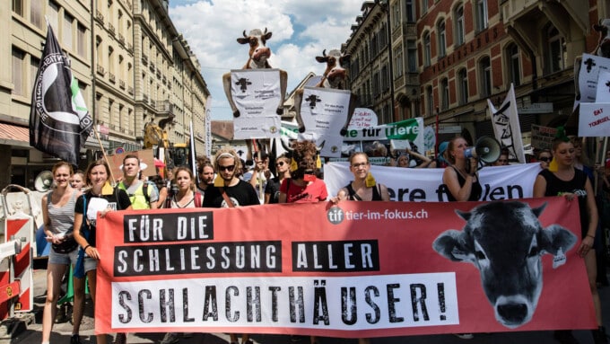 Meilenstein der Schweizer Tierrechtsbewegung
