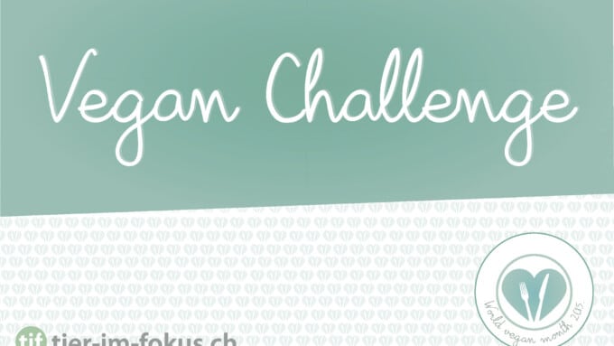 Vegan Challenge!