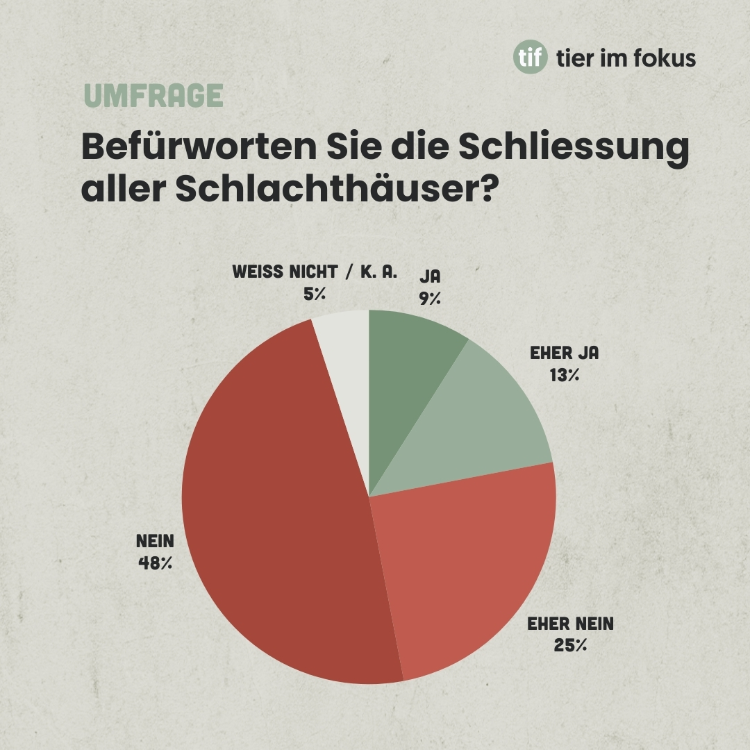 Infografik Umfrage Schliessung Schlachthäuser