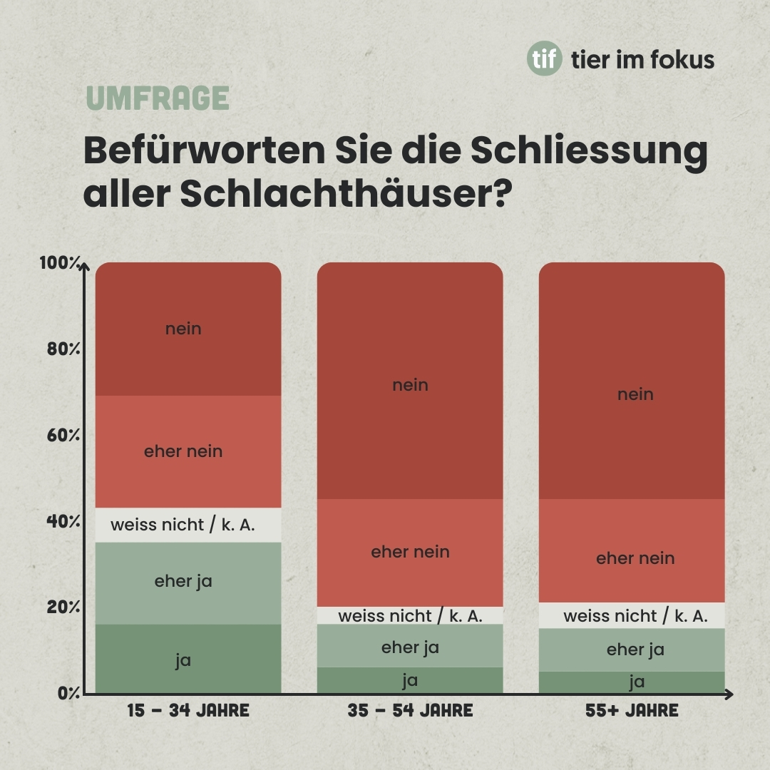 Infografik Umfrage Schliessung Schlachthäuser