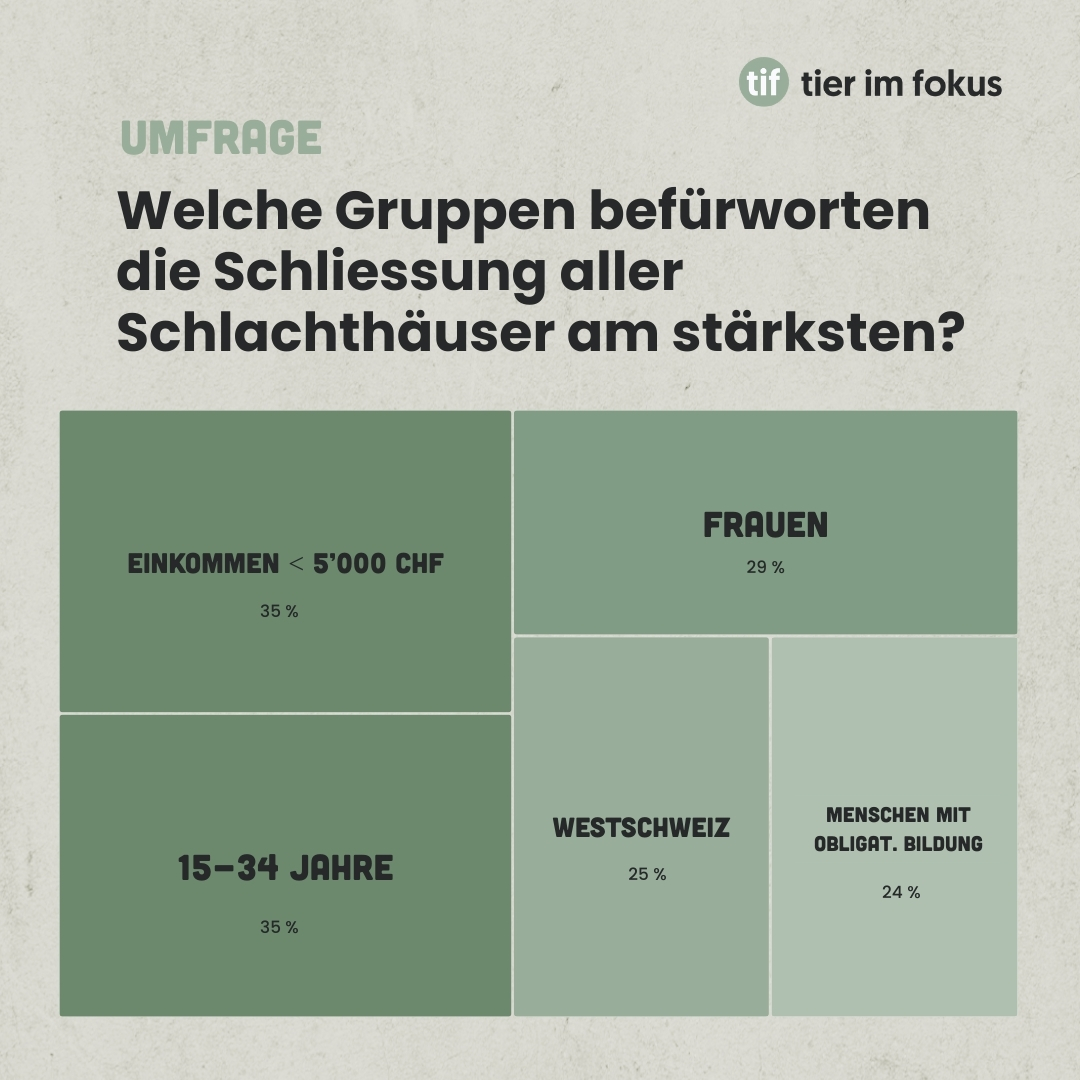 Infografik Umfrage Schliessung Schlachthäuser