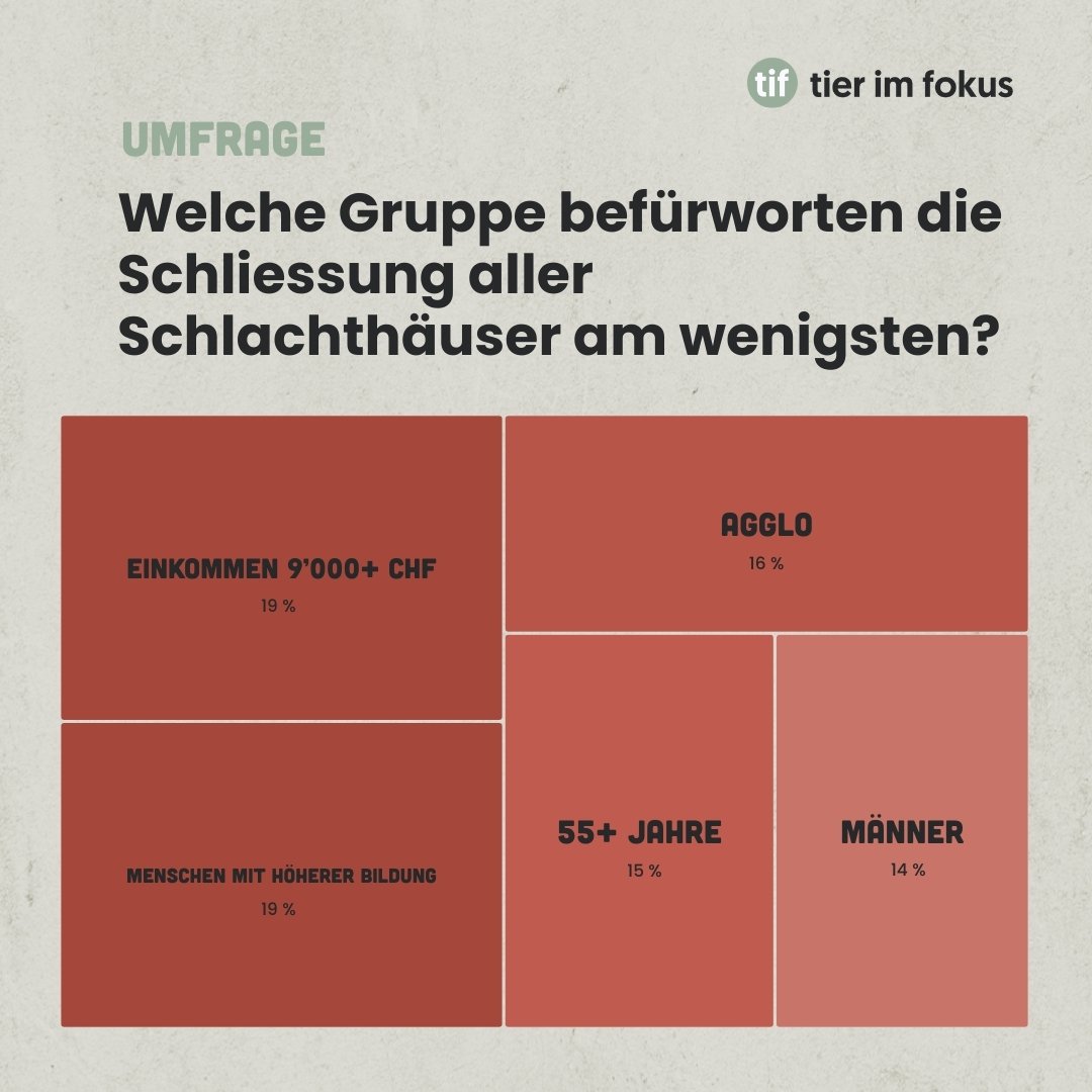 Infografik Umfrage Schliessung Schlachthäuser