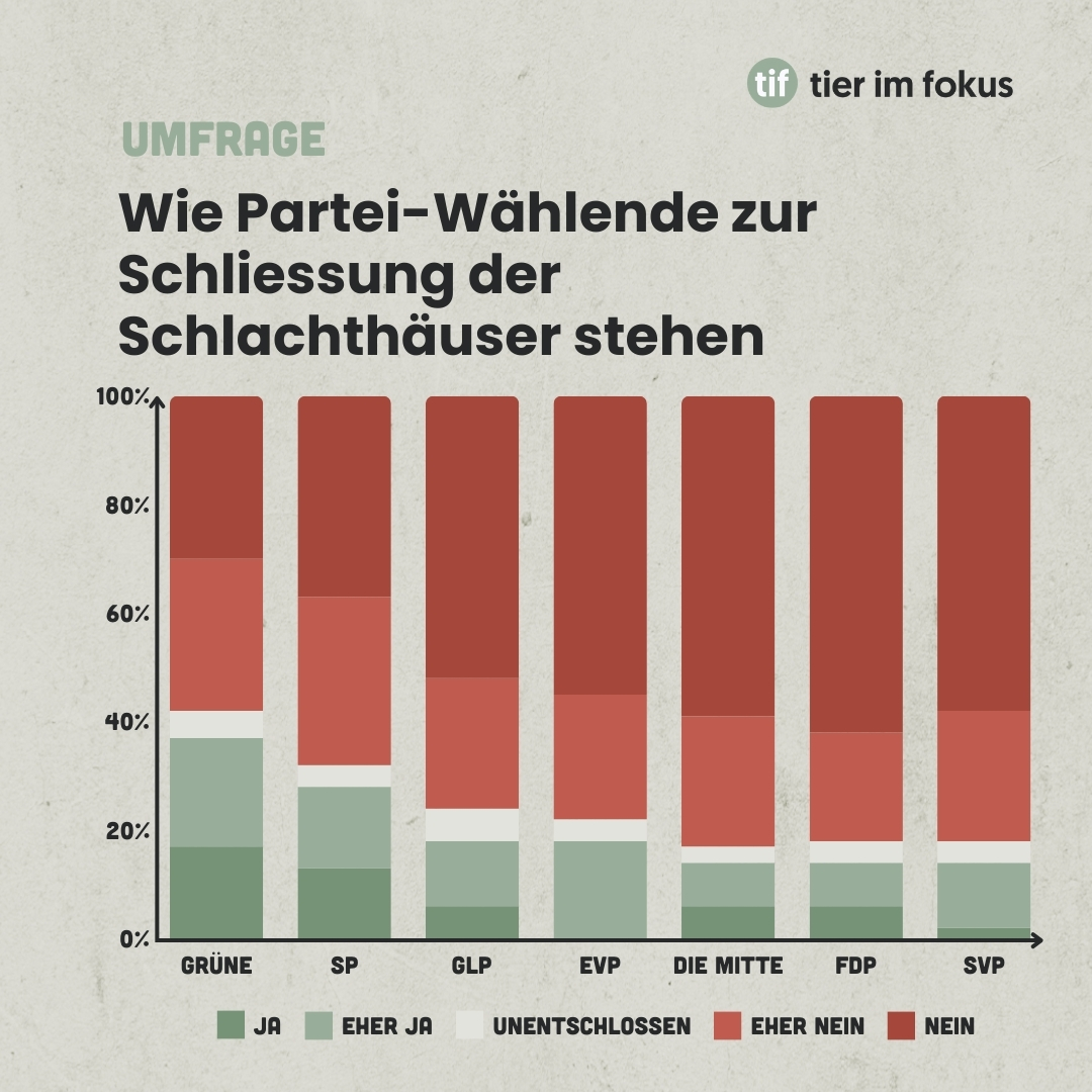 Infografik Umfrage Schliessung Schlachthäuser