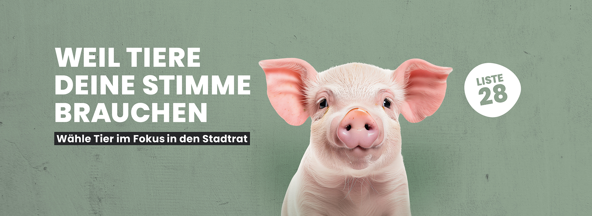 Für ein tierfreundliches Bern