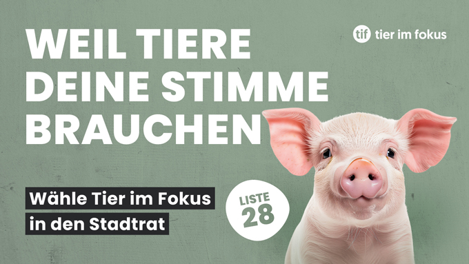 Für ein tierfreundliches Bern