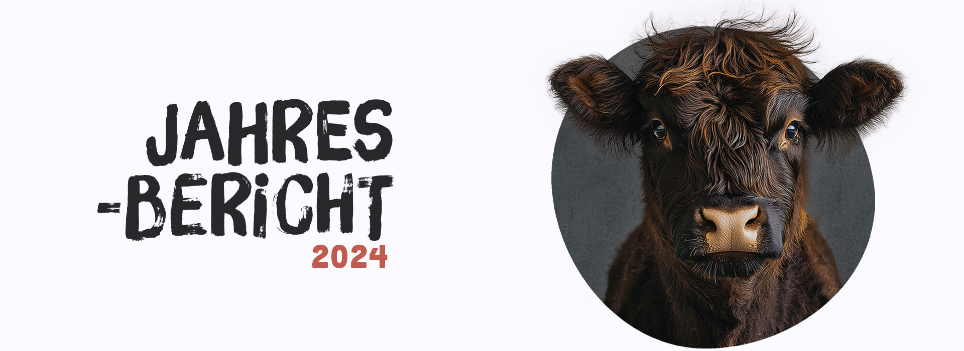 Im Einsatz für Tiere: Unser Jahr 2024