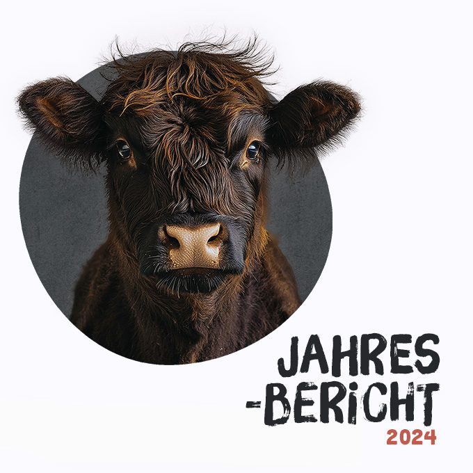 Jahresbericht 2024