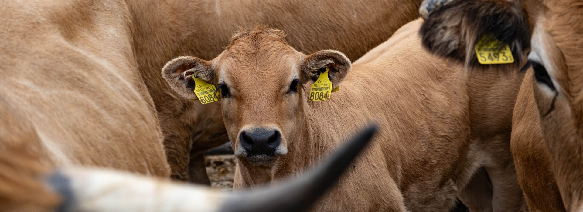 Klimakrise – die Landwirtschaft als Teil der Lösung
