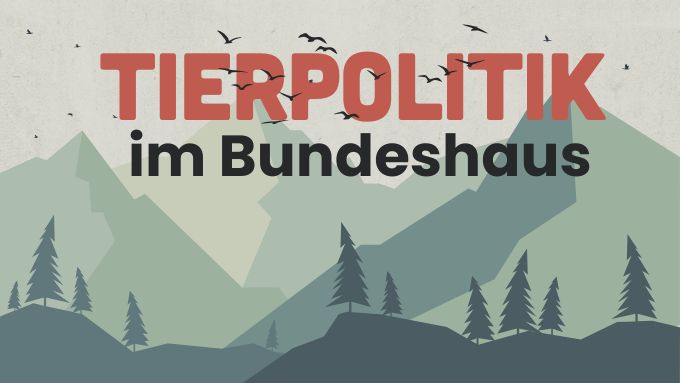 Rückblick auf die Herbstsession 2025