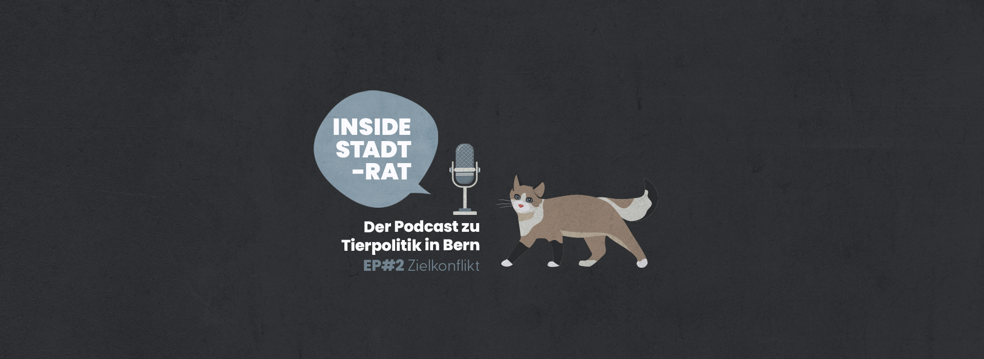 Ein Zielkonflikt an der Aare