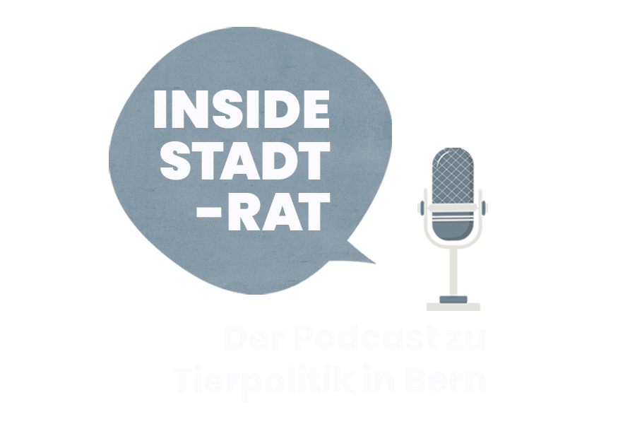 Podcast Inside Stadtrat