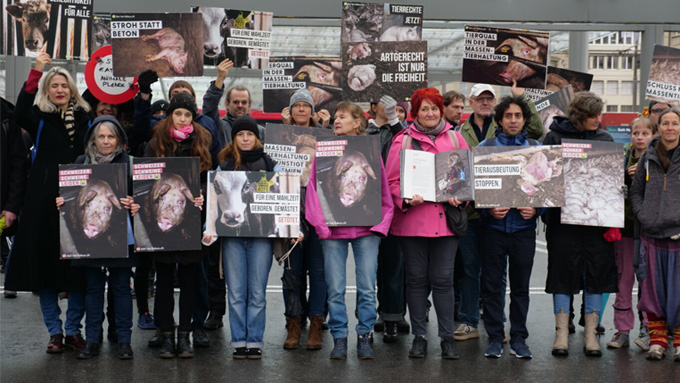 Von Bären, Brunnen und Befreiung