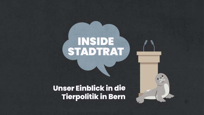 Tierpolitik zum Mitreden