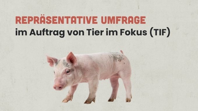 Bevölkerung fordert strengere Tierschutzkontrollen